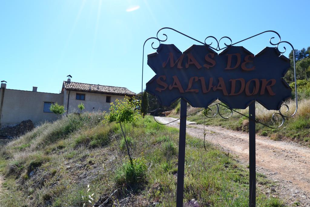 Mas De Salvador Villa Peñarroya de Tastavins Exteriör bild
